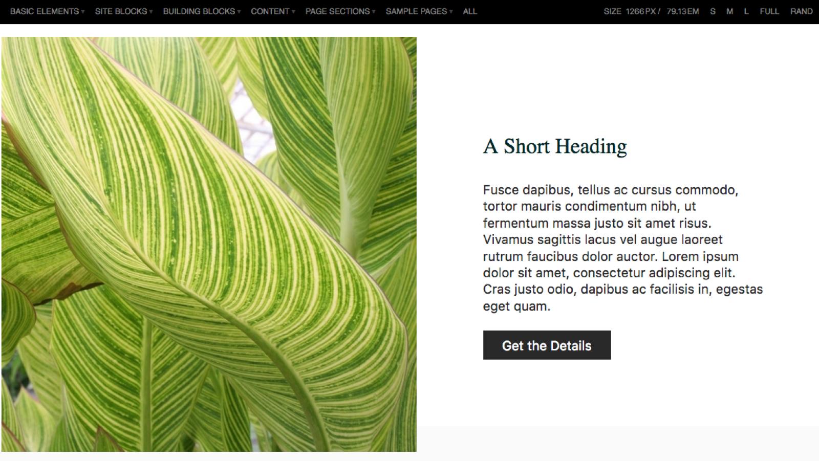 PatternLab Image with Text Component